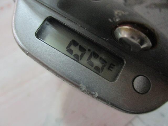 シーライン石鯛 40