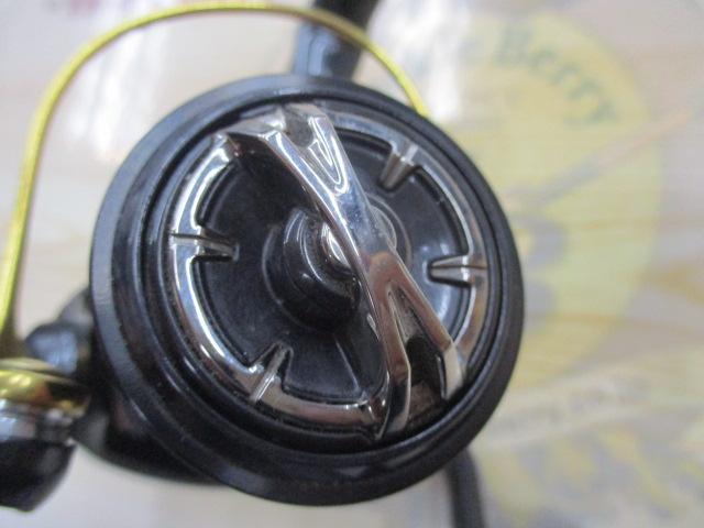 17ヴァンキッシュFWチューン 1000SHG