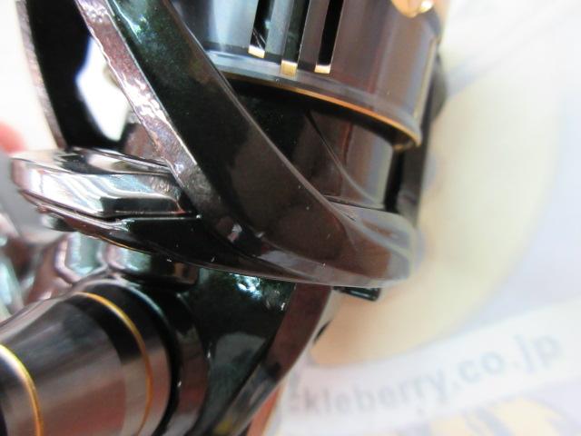 18カーディフCI4+ 1000SHG