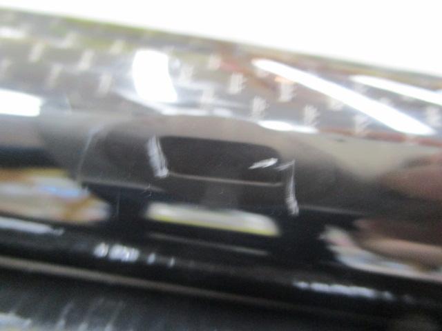 瀬音コロガシ 81