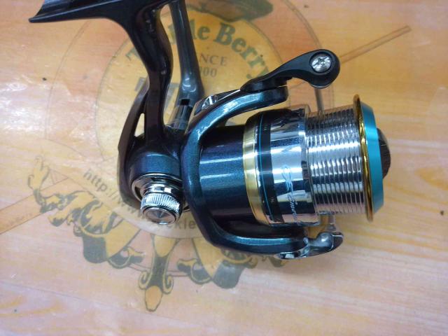 エメラルダスINF2506 817jbbvrY6L.jpg_BO30,255,255,