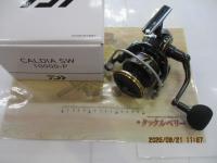 22カルディアSW 10000-P