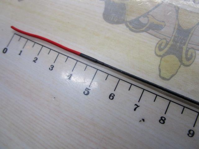 ネオテンカラ 39