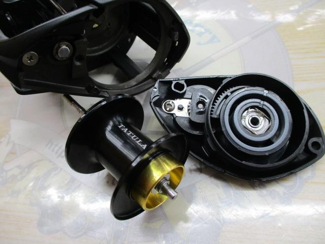 24タトゥーラ TW 100XH