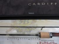 カーディフストリームプレミアム S54UL