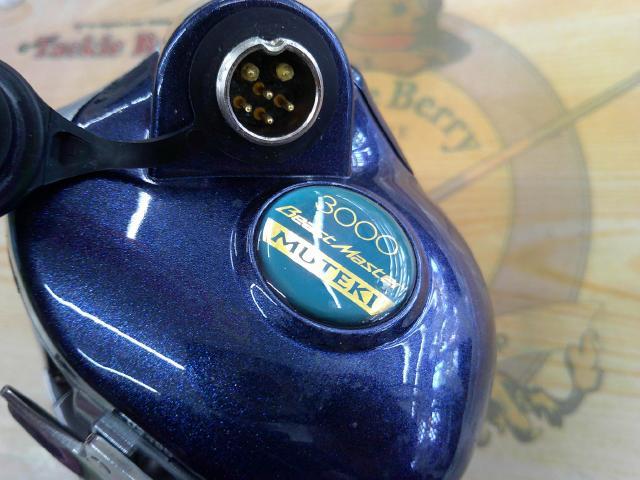 10電動丸 3000ビーストマスターMUTEKI(ムテキ)