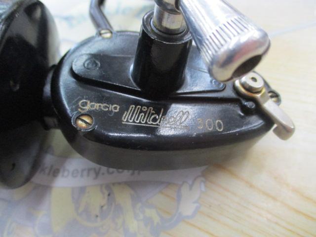 ガルシアミッチェル300