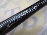 21ポイズングロリアス 170H