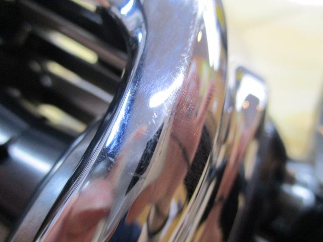 19アンタレスHG RH