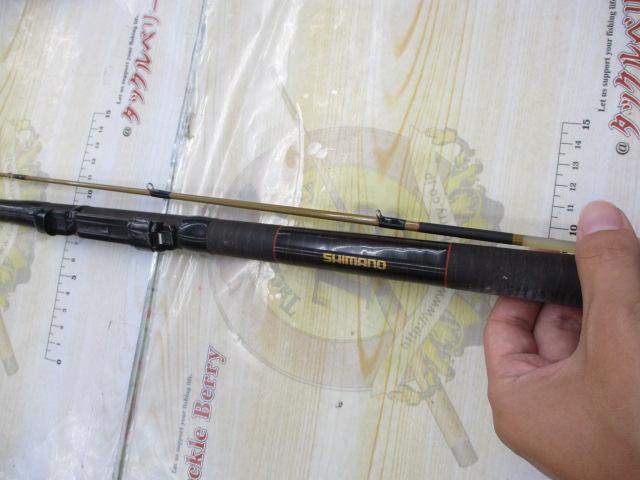 青波巧 中硬 160