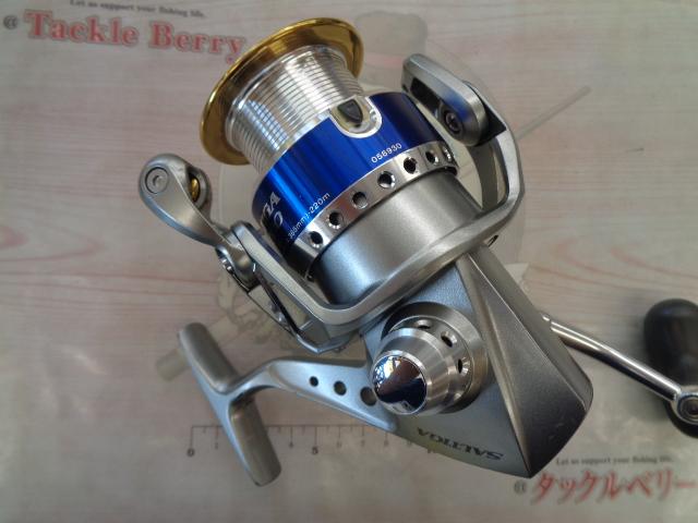 15ソルティガ4000 ローギア　美品 15ソルティガ4000 ローギア 美品 ダイワ(Daiwa) スピニング