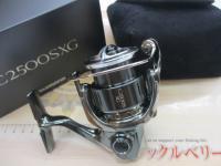 22ステラ C2500SXG