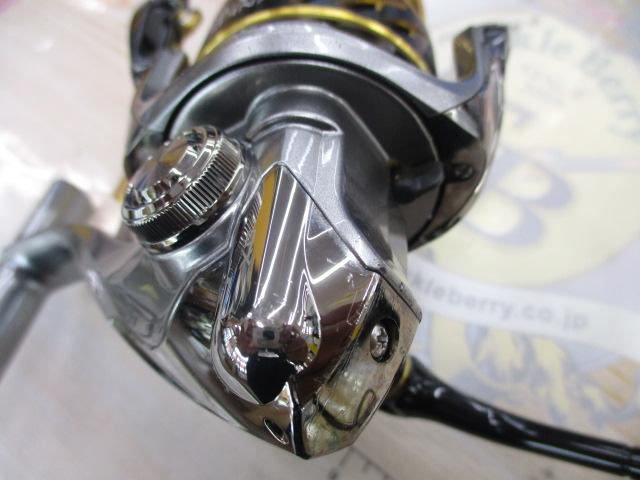 16BB-Xデスピナ C3000DXG