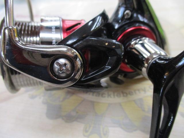 16月下美人 MX2004DH