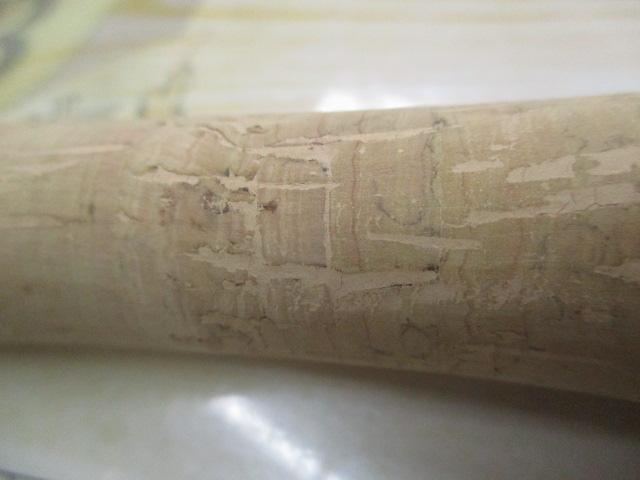 トラウトワンNS B50UL