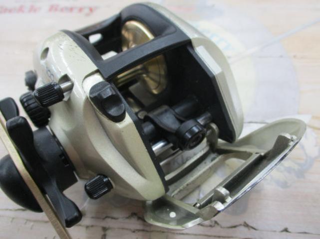 バンタムエクセージ 100