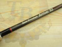 スーパーブロンズバッグ アリヴェール63 ダンス