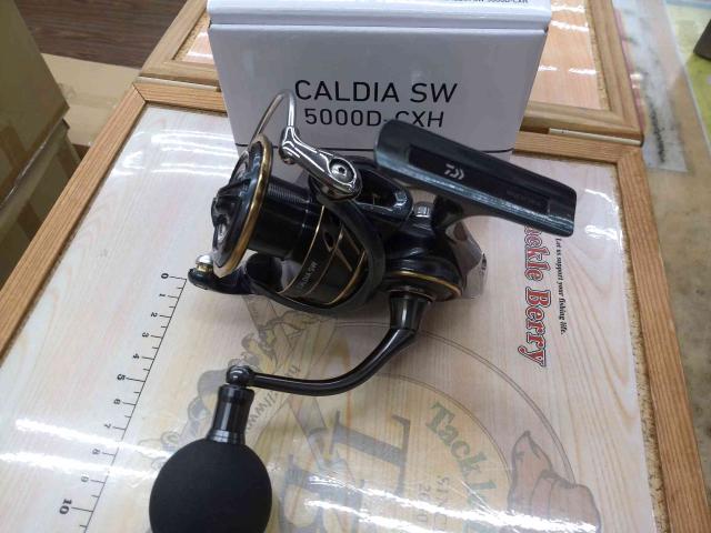 5000d-cxh カルディア sw 4550133165733.jpg