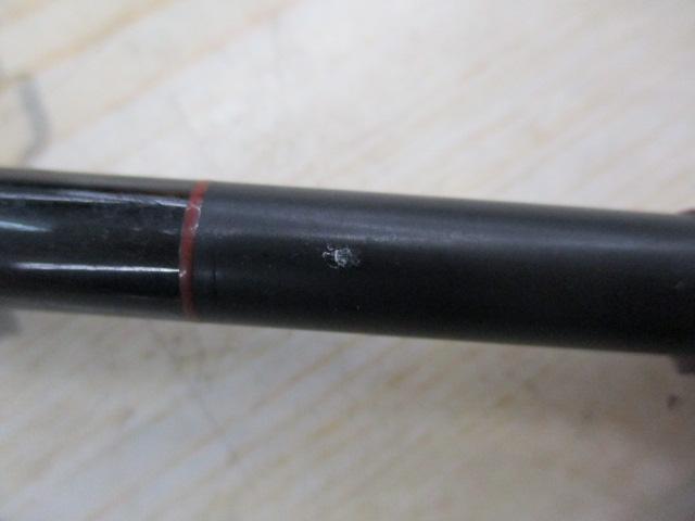 丹精手作リアオリイカ110