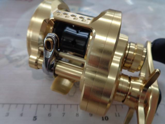 21カルカッタコンクエスト 201｜＠ベリーネット 日本最大新品