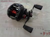 エリネイター71RW