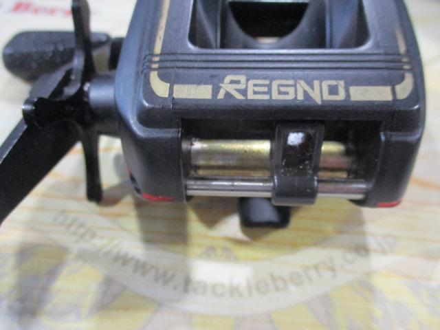 レグノライト4000