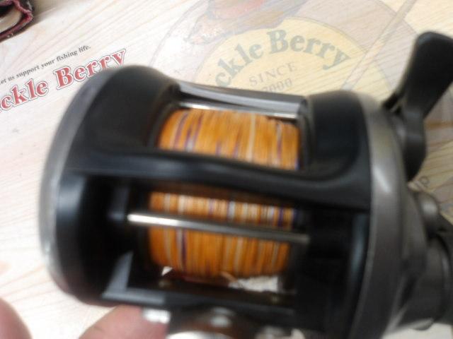 タナセンサーS 300DX