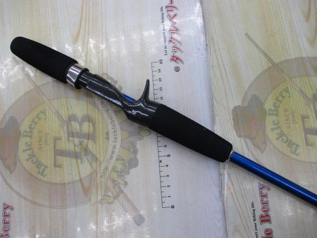 リーダーズエッジパラボライト202R