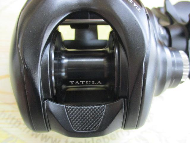 24タトゥーラ TW 100H