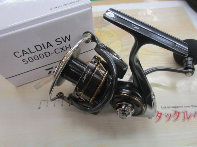 22 カルディア SW 5000 D-CXH 22カルディアSW 5000D-CXH】のインプレをまとめます！！価格は