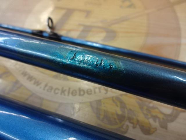 サーフリーダーEVSF 425CX