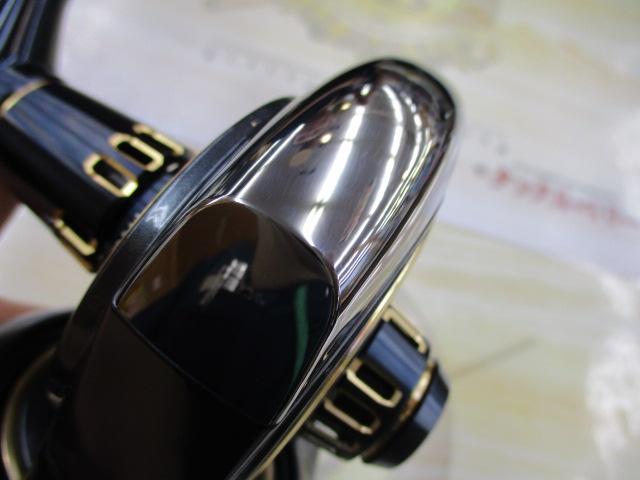 25ソルティガ 10000-H