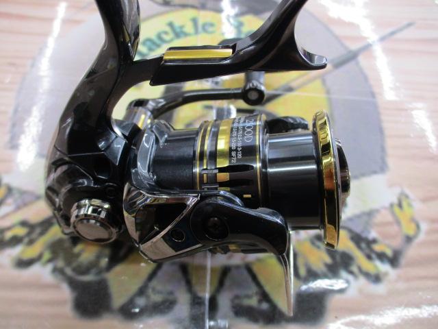 23BB-Xデスピナ 2500DXG