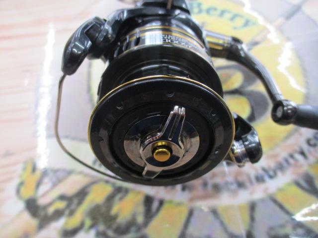 23BB-Xデスピナ 2500DXG