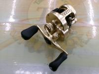 21カルカッタコンクエスト 100HG