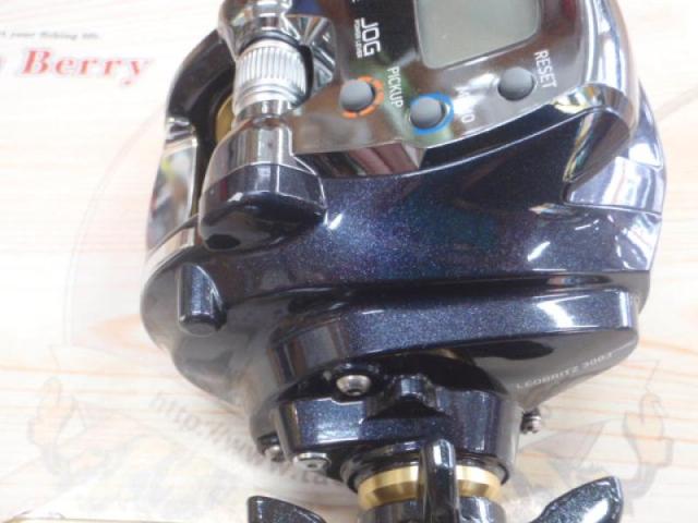 15レオブリッツ 300J