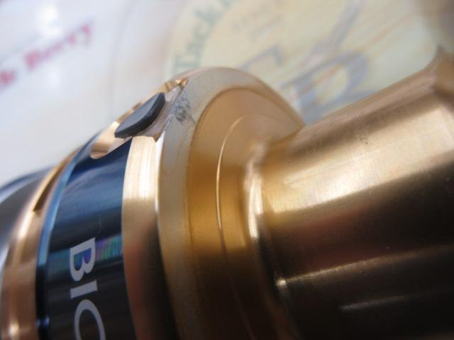 13バイオマスターSW 10000HG