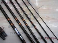 カーボン魚影17