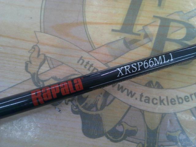 XRSP66ML1