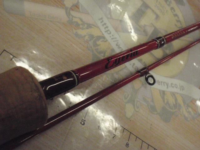 エゲリア ERNS-53L