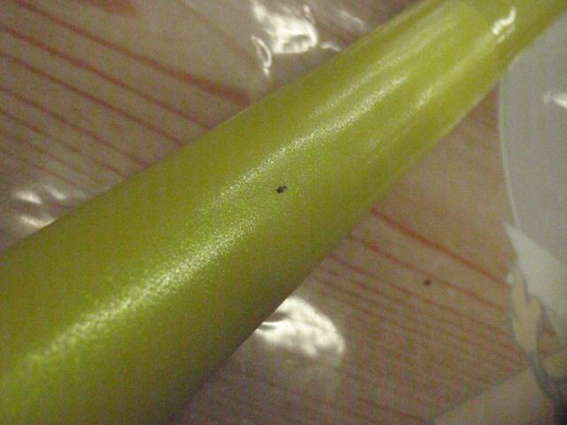 08スピンパワー 365CX