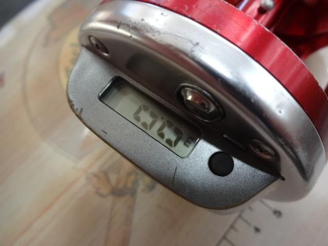 トーナメント石鯛Z 50