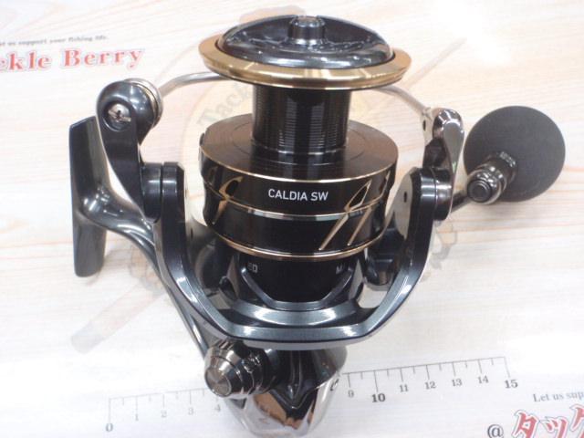 22カルディアSW 6000D-H