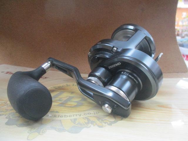 24オシアジガーLD 2500MG