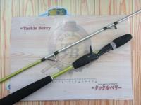 リーダーズエッジパラボライト200T