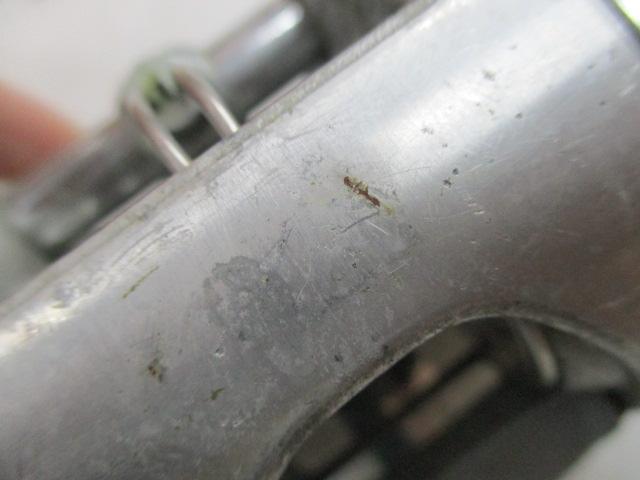 アンバサダーSM3600C