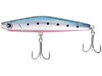 ヨイチ99#YI99-008マコイワシ