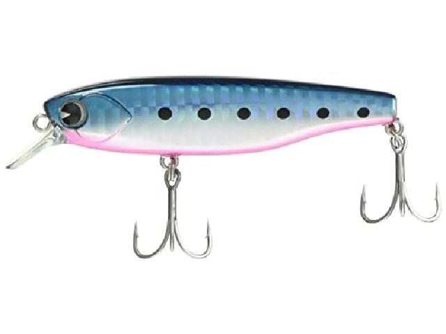 K-太77サスペンド#KT77-008マコイワシ