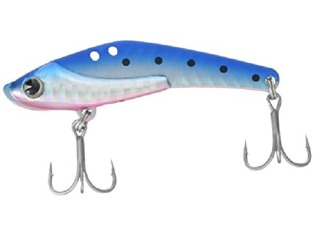 シュナイダー18#SD18-002ブルピンイワシ