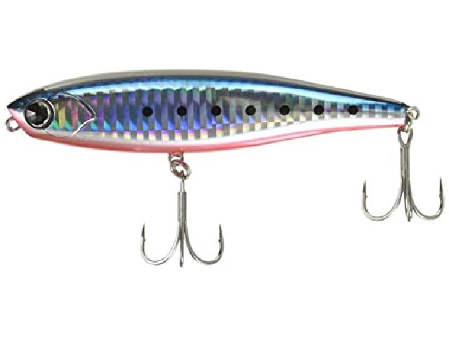 チャッピー100#CP100-005マコイワシ